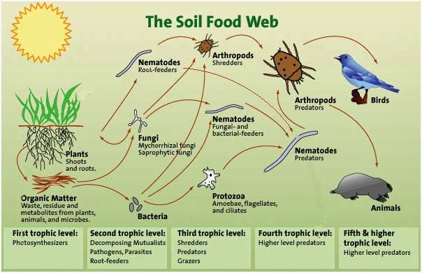 living-soil-diagram